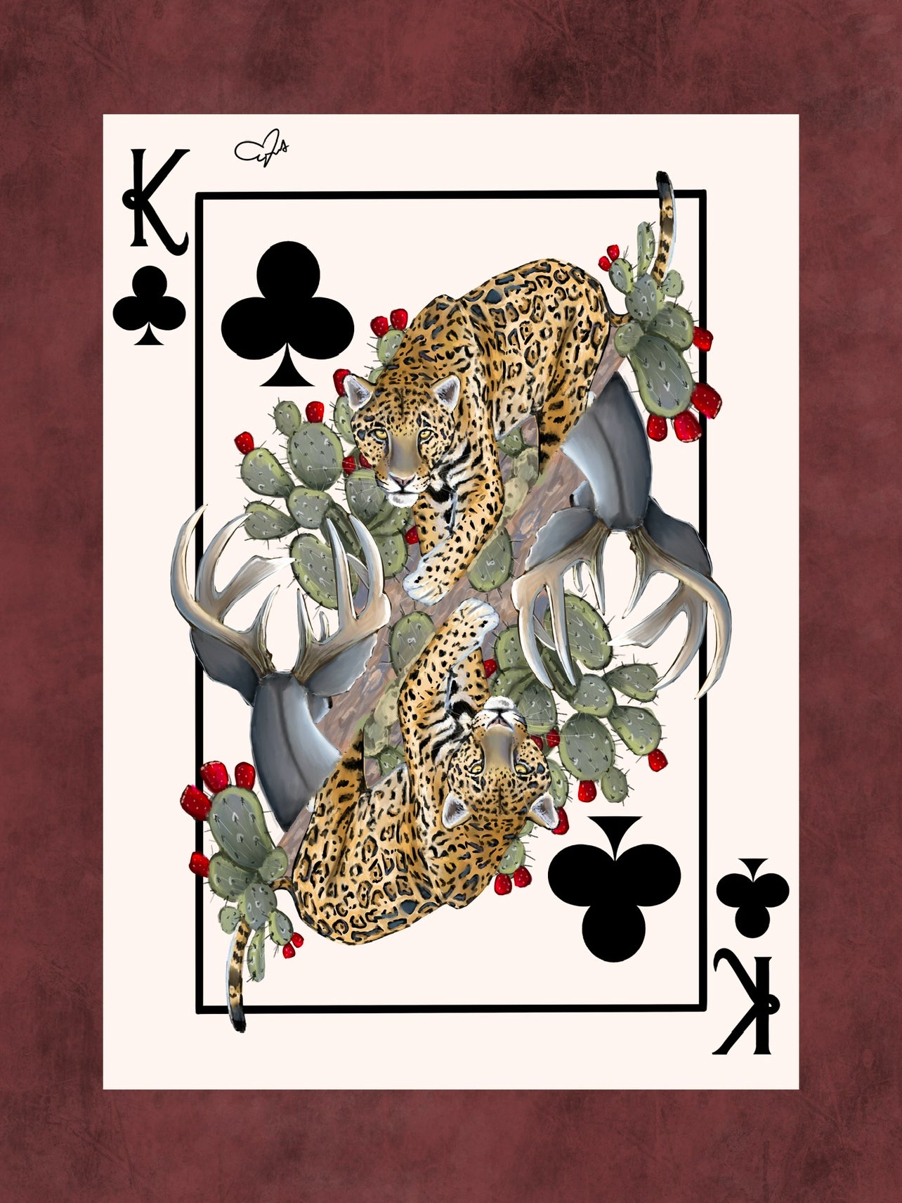 Sonoran Odyssey Playing Cards