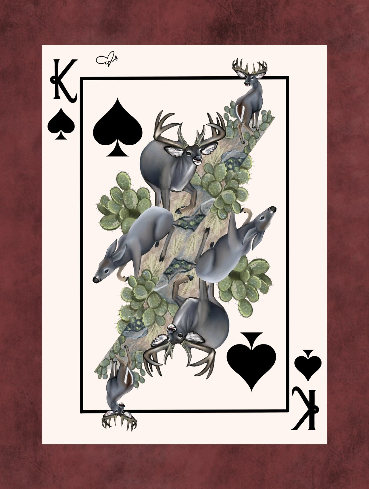 Sonoran Odyssey Playing Cards