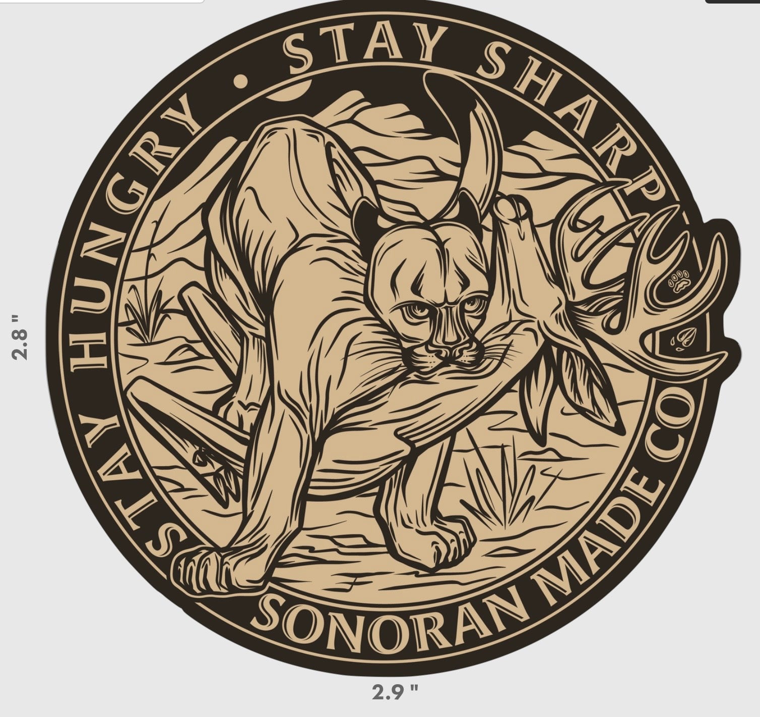 Stay Hungry Stay Sharp