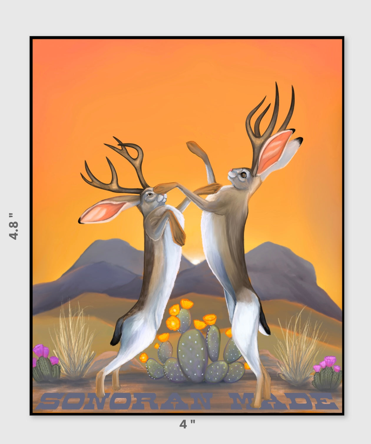 Joustin’ Jackalopes