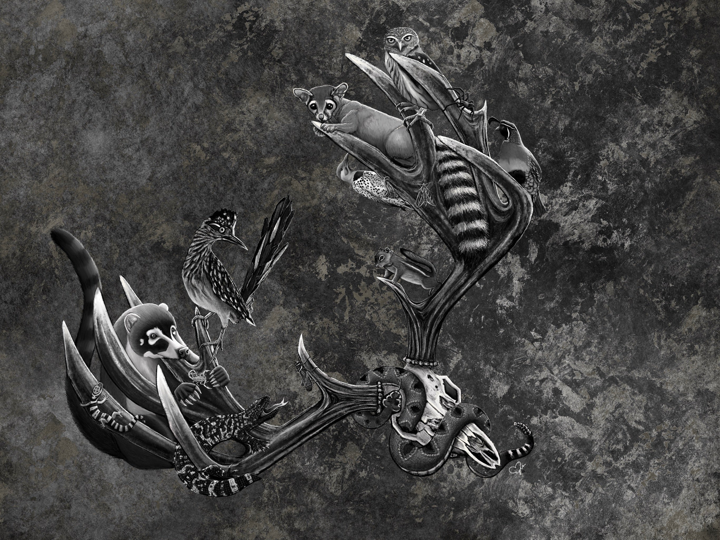 “Sonoran Life Amongst Death” Print