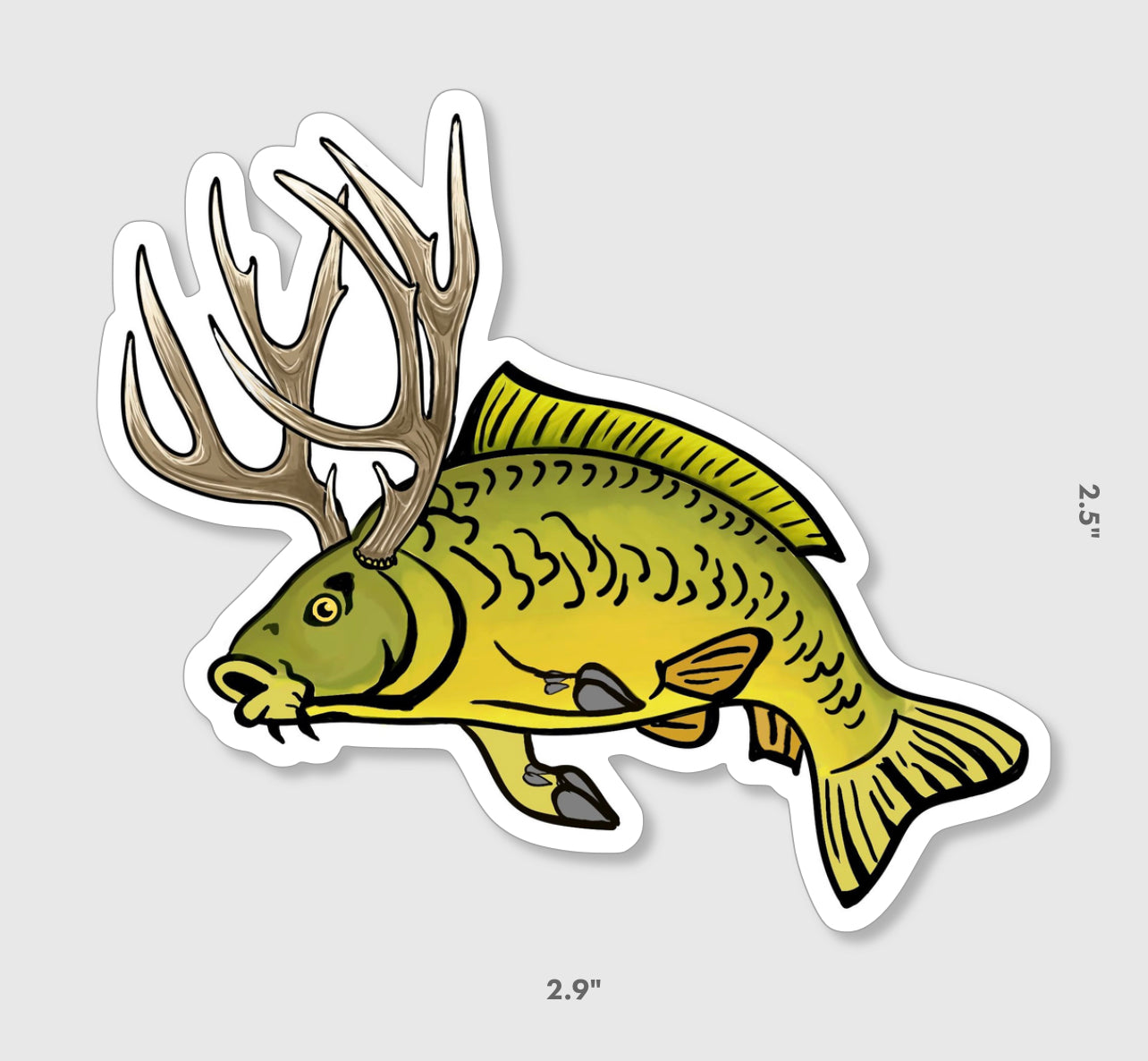 Carp Deer